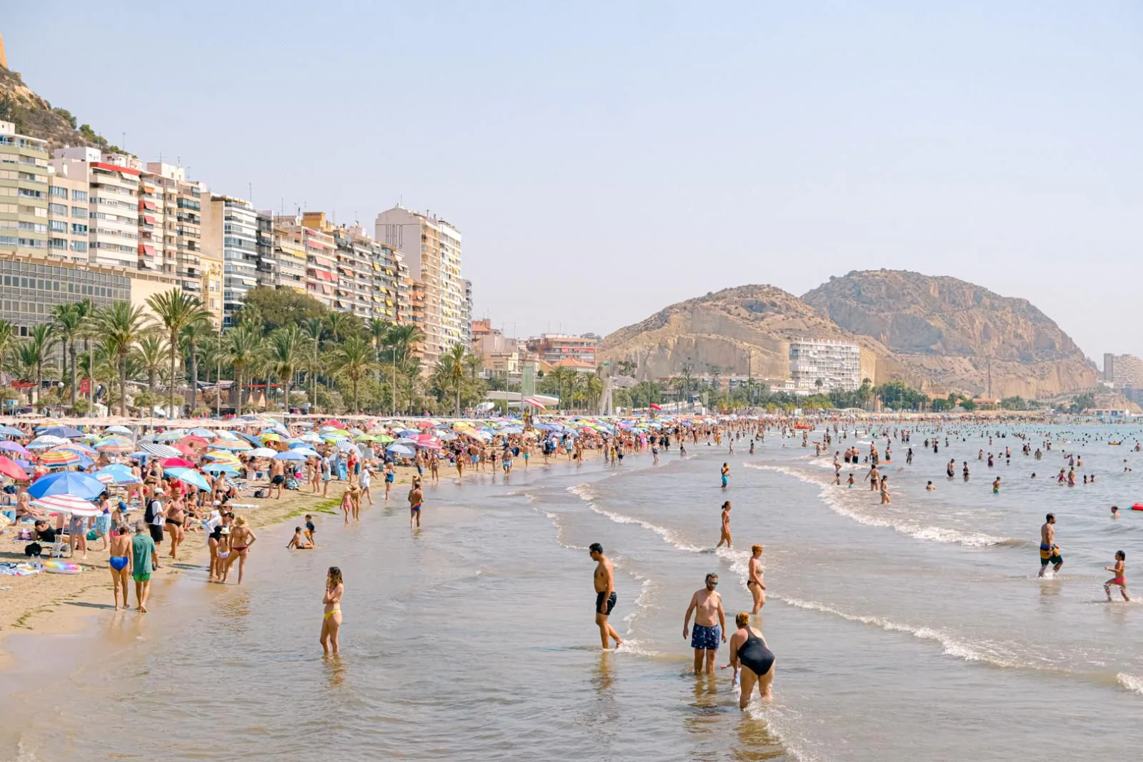 consigli per Alicante